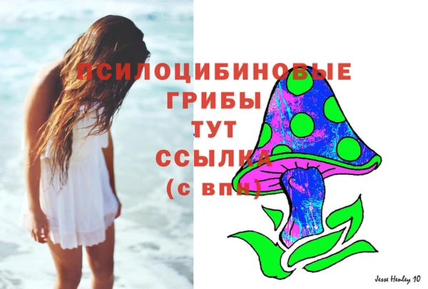 2c-b Зерноград